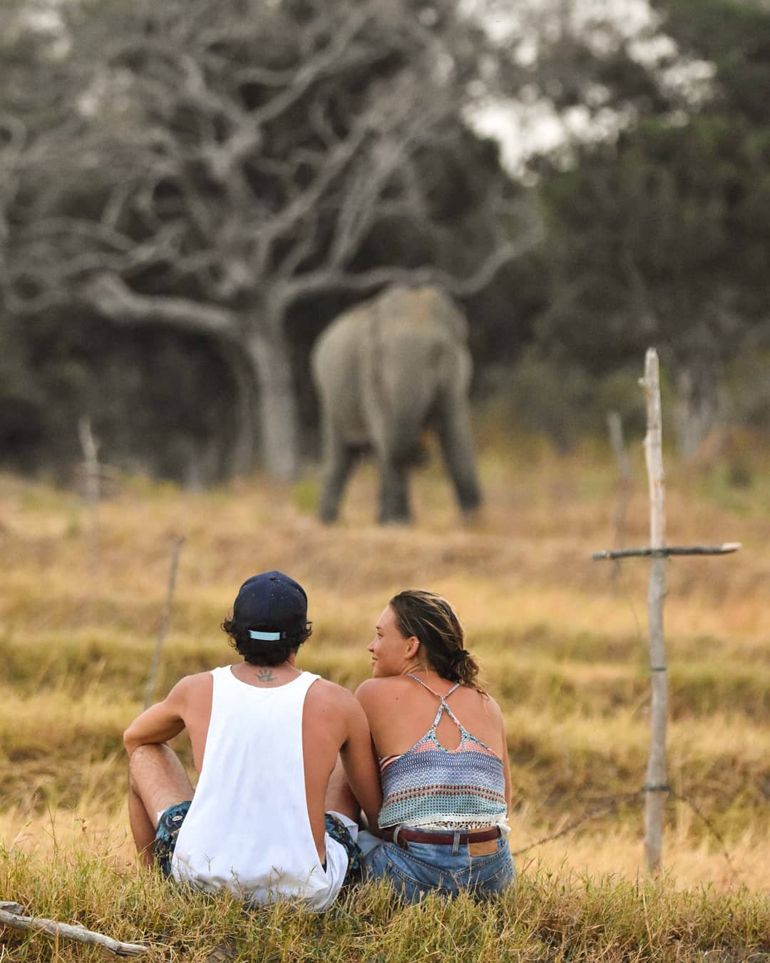 Safari 2