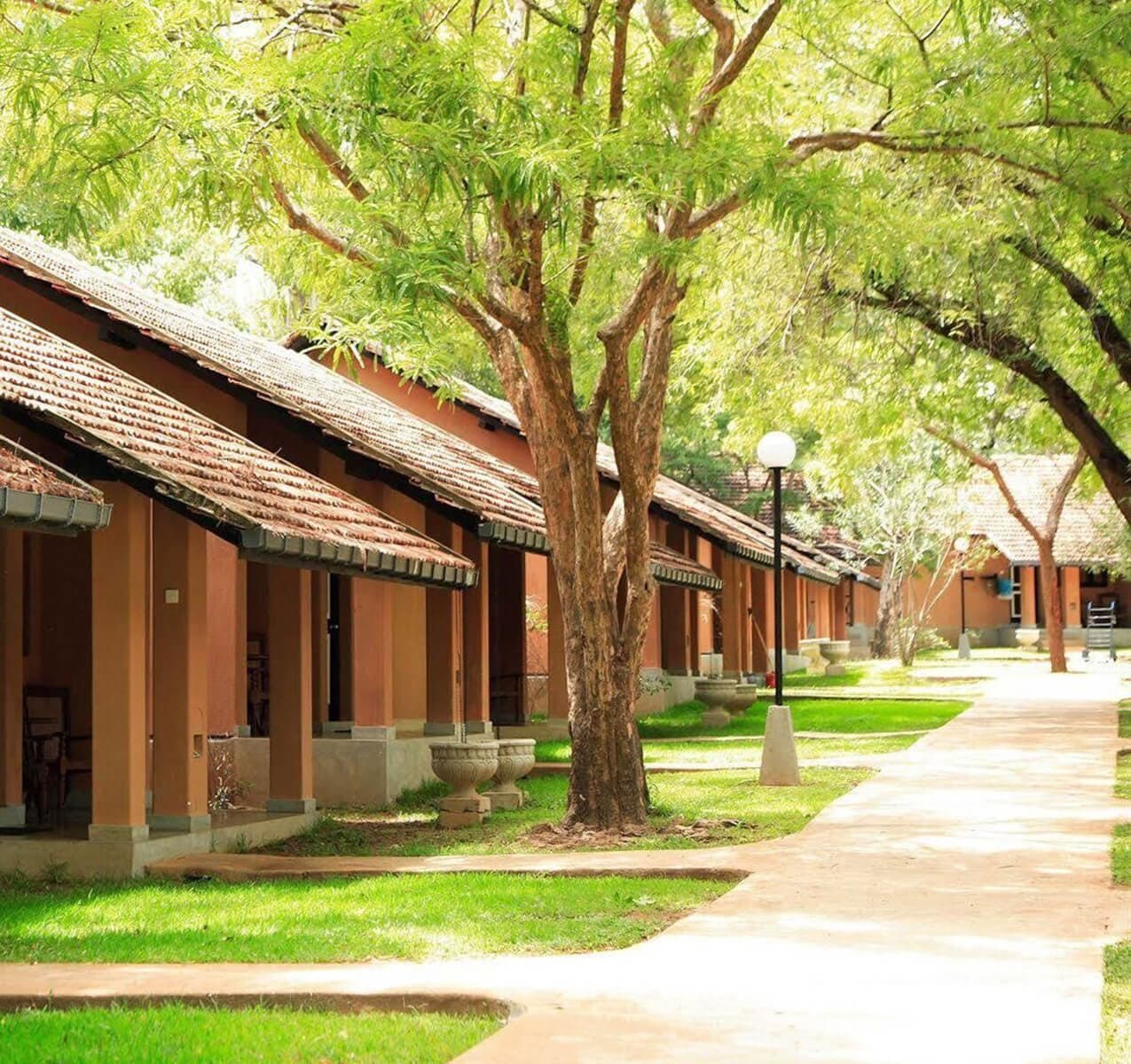 Cinnamon Lodge