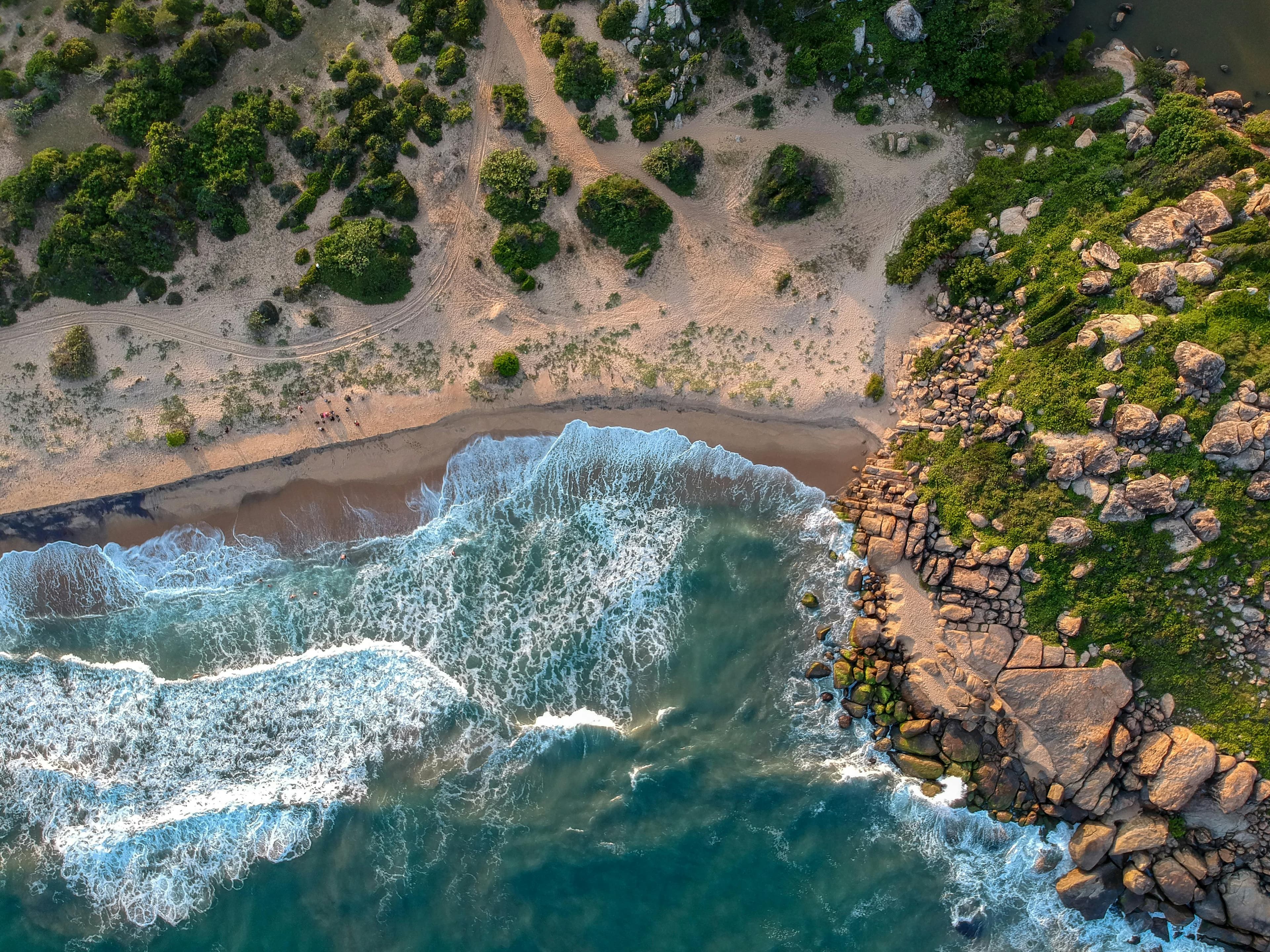 Beach Bliss to Mountain Mist