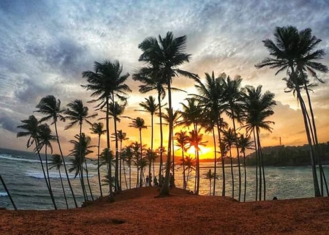 Mirissa Beach