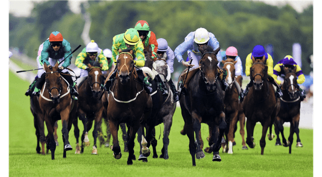 Uga Residence
